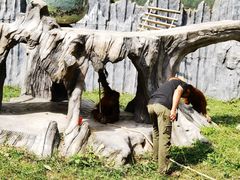 -贵州森林野生动物园