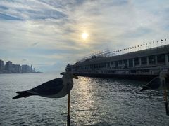 -海港城