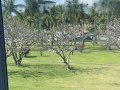 -亚龙湾海底世界