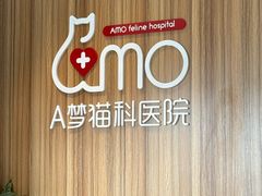 -御宝贝·A梦猫科宠物医院(国际猫友好医院)