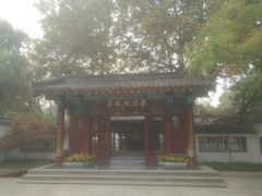 -百脉泉景区