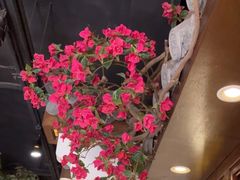 -老平安农家菜(平安店)