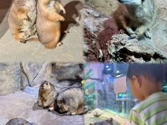 -正佳雨林生态植物园