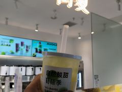 -树夏(金楠天街店)