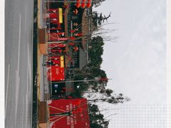 -青羊宫