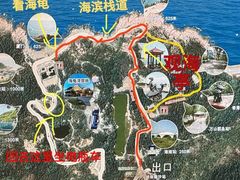 -广东惠东海龟国家级自然保护区