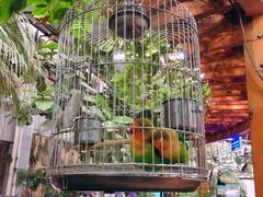 -九尊食上(生态园林酒店)