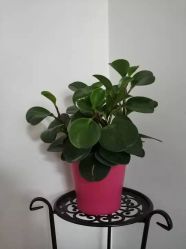 -梵未理疗瑜伽工作室