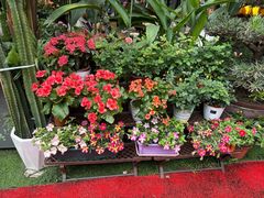 -山水茶艺馆·点心粤菜·30年老字号