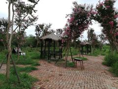 -武汉紫薇都市田园