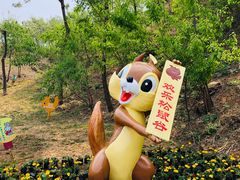 -欢乐松鼠谷