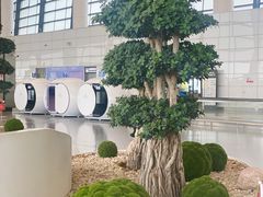 -郑州新郑国际机场