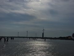 -奉贤海滩