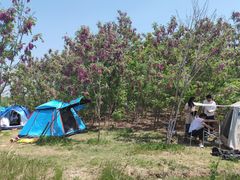 -天津东丽湖风景区