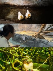 -Zoolung Zoolung动物主题公园(海信广场店)