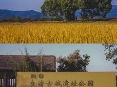 -良渚古城遗址公园