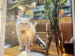 -龙鑫园餐厅(成功街店)