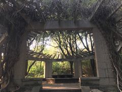 -武汉大学-樱园