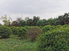 -南湖湿地公园