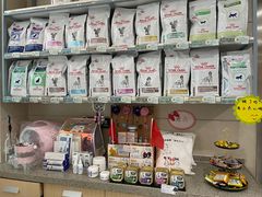 -谐和益家动物医院·免疫绝育·血液透析·宠保定点医院(高新伊藤分院)