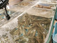 -美盛喜来登大酒店-盛宴标帜餐厅