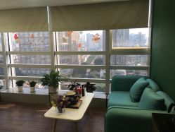 -章光101防脱养发荟