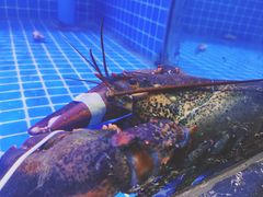 -渔民船说·北塘海鲜·天津菜·海肠捞饭(北塘古镇店)