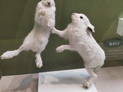 -国家自然博物馆