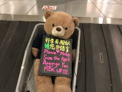 -上海浦东国际机场-T2航站楼