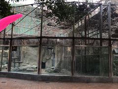 -成都动物园