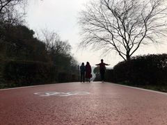 -龙寺生态园