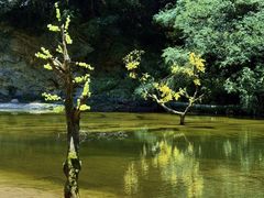 -少华山国家森林公园
