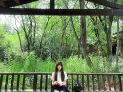 -盘龙城国家考古遗址公园