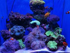 -多彩贵州城极地海洋世界