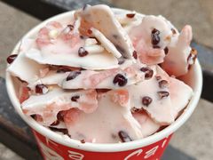 -初心炒酸奶(厚德品园店)