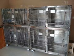 -美联众合动物医院·伴可分院·内科中心医院