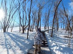 -中旅松花湖滑雪场