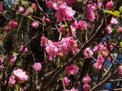 -鹫峰国家森林公园