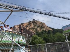 -西霞口神雕山野生动物世界