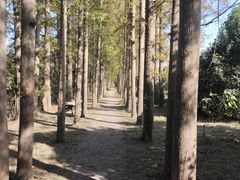 -上海长兴岛郊野公园