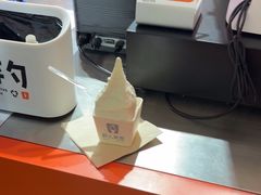 -野人先生现做冰淇淋(北京王府井东方新天地店)