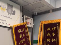 -半岛宠物医院24小时(科华中路店)