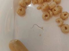 -白金汉爵大酒店·中餐厅(相城店)