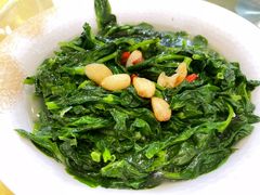 有机豆苗-大笑饭堂(甲子桥店)