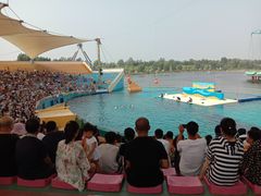 -秦皇岛乐岛海洋王国