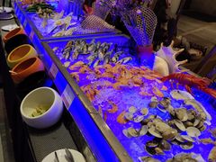 -豪派特华美达广场酒店·西餐厅