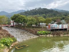 -南丹山森林王国