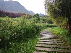 -贵阳市花溪国家城市湿地公园