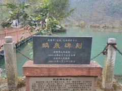 -靖西鹅泉风景区