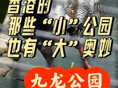-九龙公园
